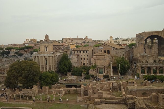 Domus Tiberiana and Ancient Rome Exclusive Guided Tour - Practical Details: Meeting Point, Group Size, and Accessibility