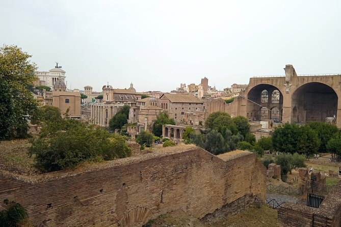 Domus Tiberiana and The Ruins of Ancient Rome Guided Tour - Pacing, Physicality, and Accessibility