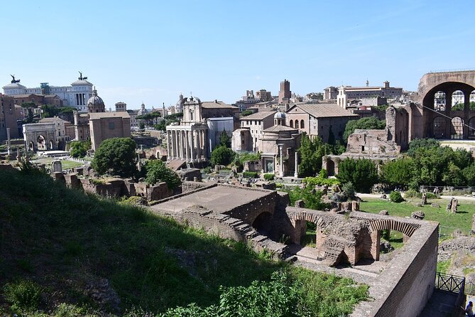 Domus Tiberiana and The Ruins of Ancient Rome Guided Tour - Balancing the Highlights and Limitations