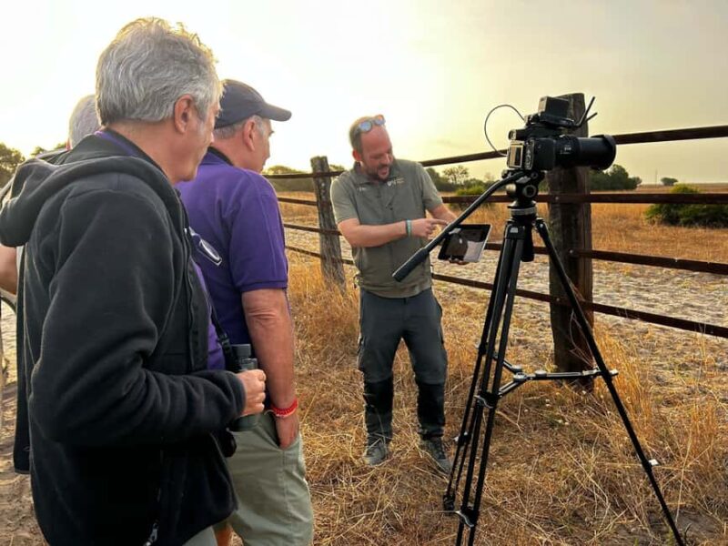Doñana: 4x4 Excursion and Exclusive Access to Coto del Rey - The Off-Road Adventure Through Doñana’s Northern Area
