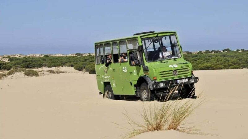 Doñana: 4x4 tour of the national park and beaches - Key Points