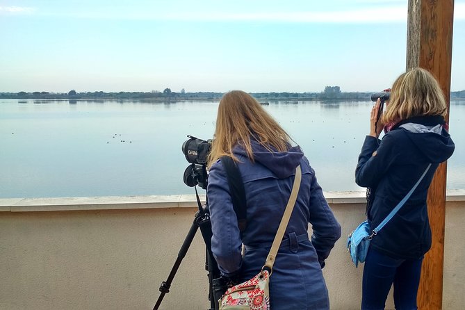 Donana National Park and El Rocío: Private Tour from Seville - The Convenience of Private Transport and Hotel Pickup in Seville