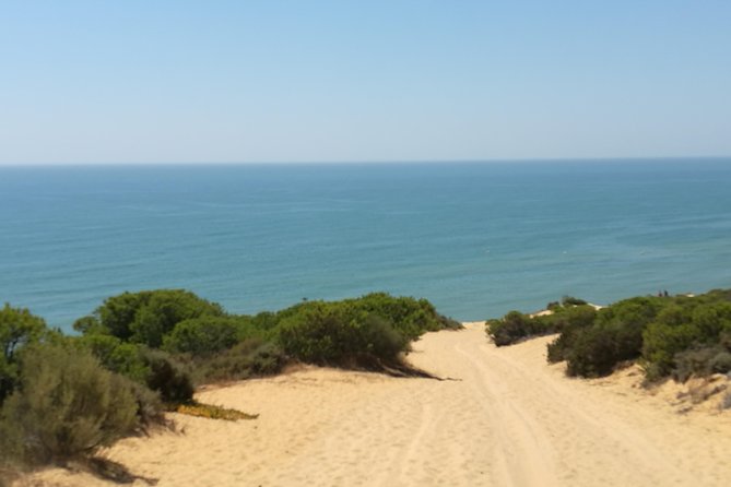 Donana National Park: Guided Day Tour from Seville - Exploring the Town of El Rocío after the Park