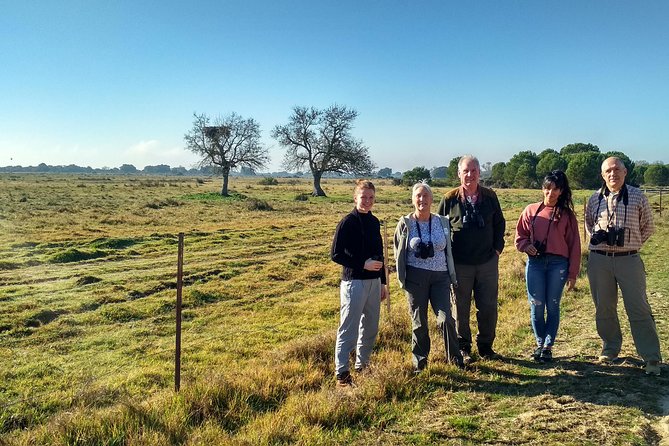 Donana National Park: Guided Day Tour from Seville - Beach Relaxation and Scenic Dunes