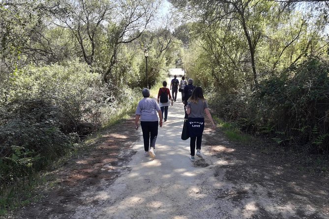 Doñana National Park in 4x4 and El Rocío - The Architectural Marvel of El Acebrón