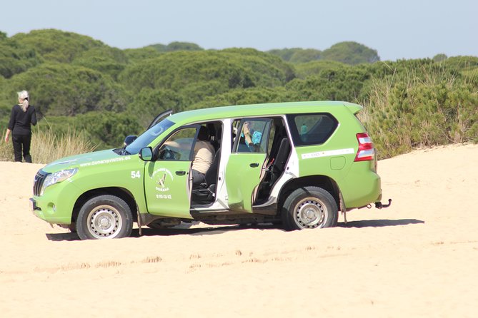 Donana National Park & Matalascanas Guided Tour from Seville - Logistics and Group Size