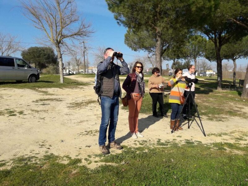 Doñana National Park Off-Road Tour from Seville - El Rocío: A Pilgrimage Town