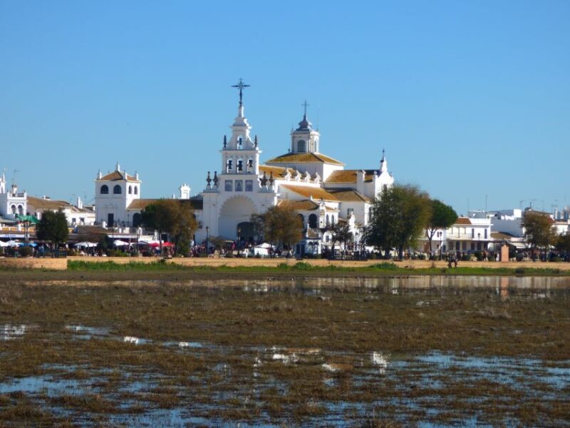 Doñana National Park Off-Road Tour from Seville - Practical Tips and What to Bring