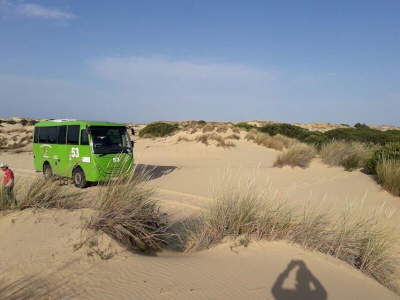 Doñana National Park Off-Road Tour from Seville - Weather and Schedule Considerations