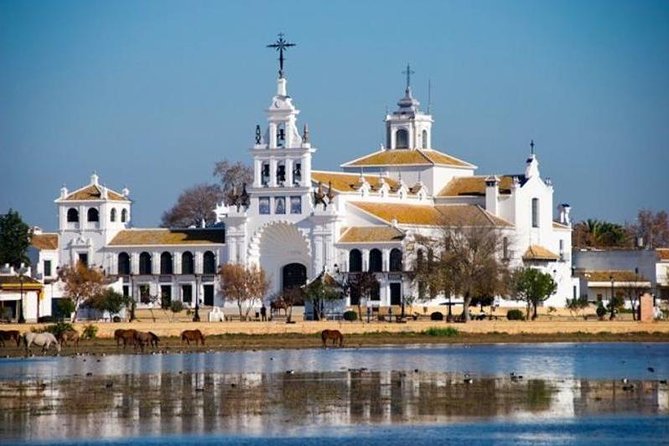 Doñana Natural Park Full-Day Tour from Seville - Key Points
