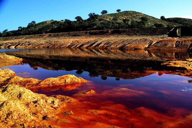 Doñana Natural Park Full-Day Tour from Seville - Exploring the Ecosystems at Acebuche Visitor Center