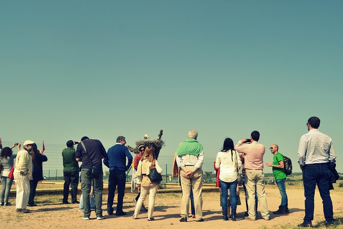 Doñana Natural Park Full-Day Tour from Seville - Practical Logistics and Group Size