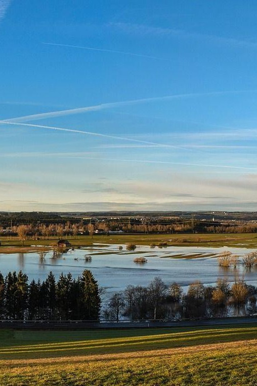 Donaueschingen Private Guided Walking Tour - The Residence of the Princes of Fürstenberg