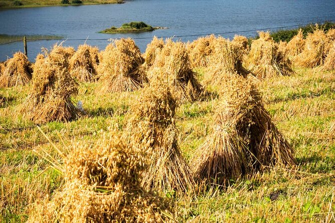 DONEGAL DAY TOUR: Coast and Castles - Flexibility and Customization Options