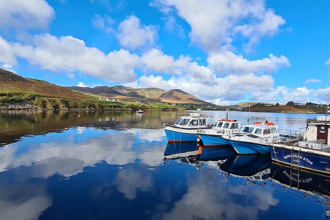 Donegal Private Tour Slieve League & Glenveagh National Park - Glenveagh Castle: Ireland’s Iconic Baronial Home