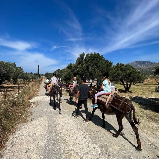 Donkey Riding - Coastline Ride - Scenic Views of Crete’s Mediterranean Coastline