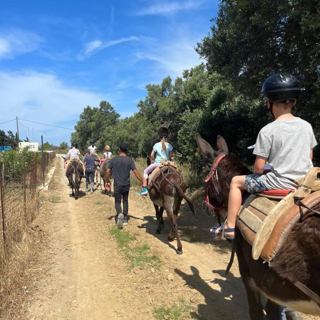 Donkey Riding - Coastline Ride - Why Choose the Donkey Coastline Ride in Crete?