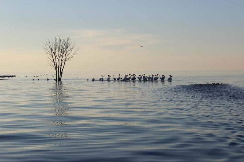 Door County: West Islands & Eagle Bluff Lighthouse Cruise - Exploring the Route Along Peninsula State Park