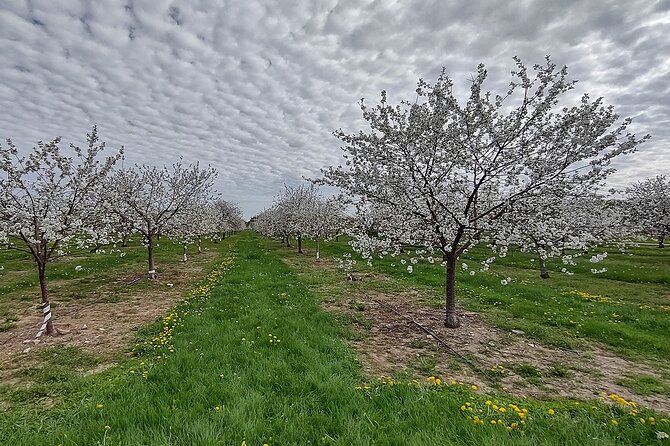 Door Countys Northern Peninsula: A Self-Guided Drive - The Art and Lakeside Charm of Fish Creek
