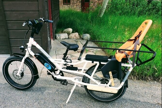 Door2Door E-Bike delivery-Ride the most scenic routes in Jackson Hole and GTNP. - Reviews Highlight the Experience’s Beauty and Ease