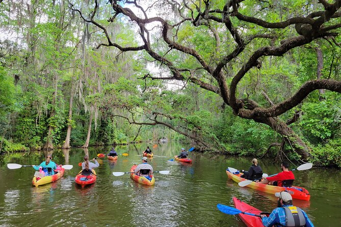 Dora Canal Half-Day Kayak and Paddle Board Rental Adventure - Explore the Scenic Dora Canal with a Flexible Rental Experience