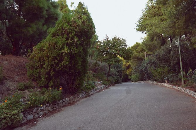 Dora Stratou Greek Dancing Show Skip-the-Line Ticket - What to Expect from the Performance