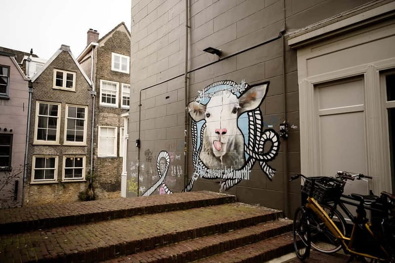 Dordrecht: Street Art Tour - Explore Dordrecht’s Hidden Street Art Scene in 1.5 Hours