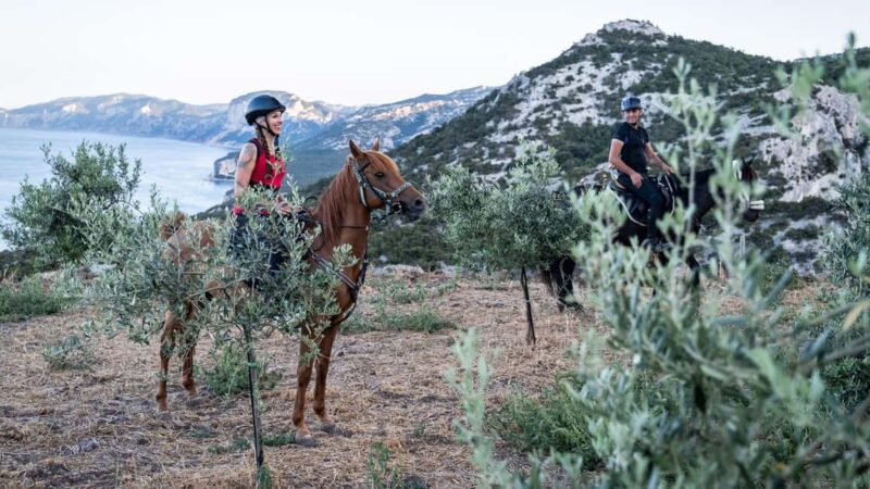 Dorgali: horseback ride for beginners in the Gulf of Orosei - The Experience of Riding Among Sardinian Ruins and Sea Views
