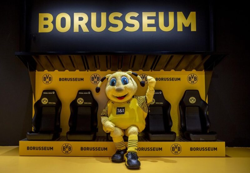 Dortmund: Borusseum Borussia Dortmund Museum Entry Ticket - What You Can See Inside the Borusseum