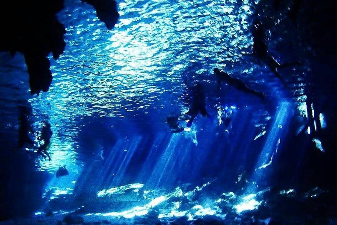 Dos Ojos Cenote Cavern Dive- The Barbie Line and The Bat Cave - Booking, Cancellation, and Flexibility