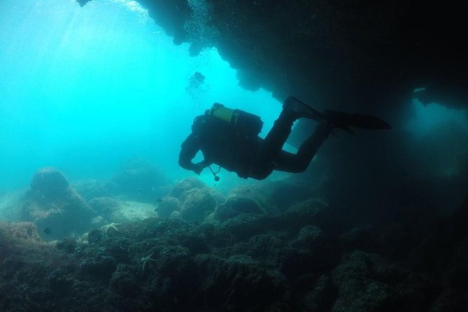 Double Dive in Cascais - go further and go under! - The All-Inclusive Dive Equipment and Safety Measures