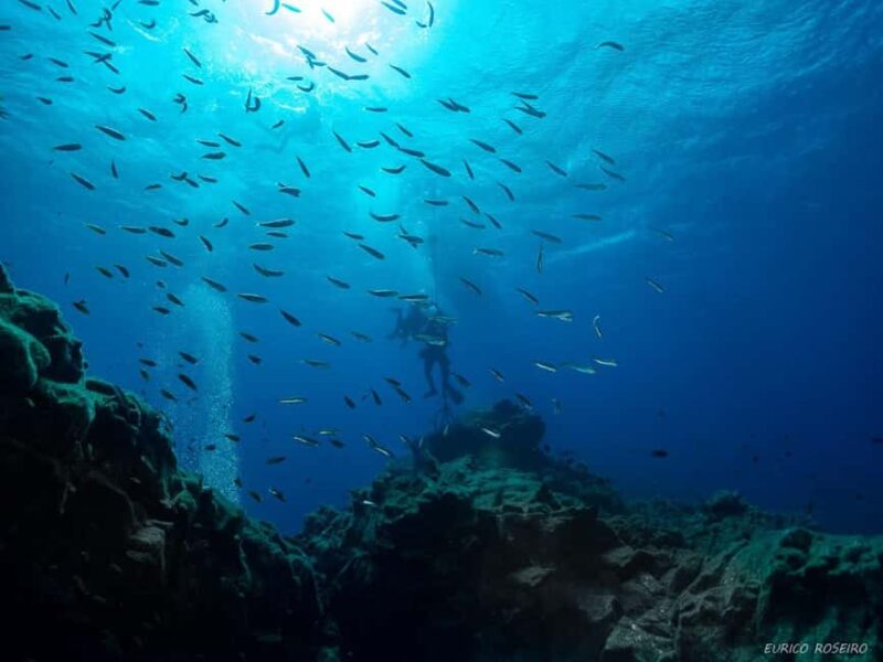 Double dive in Santa Maria Island - Azores - Starting Point at Estrada da Marina