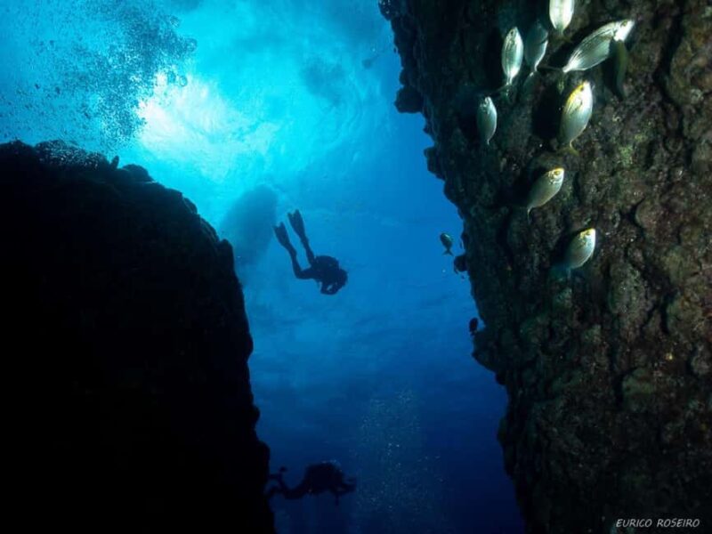 Double dive in Santa Maria Island - Azores - Who Will Appreciate This Dive Experience?