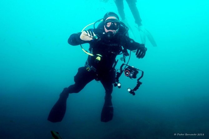 Double dive in the Algarve. Don't stop on the beach! - What Makes the Algarve a Prime Diving Destination