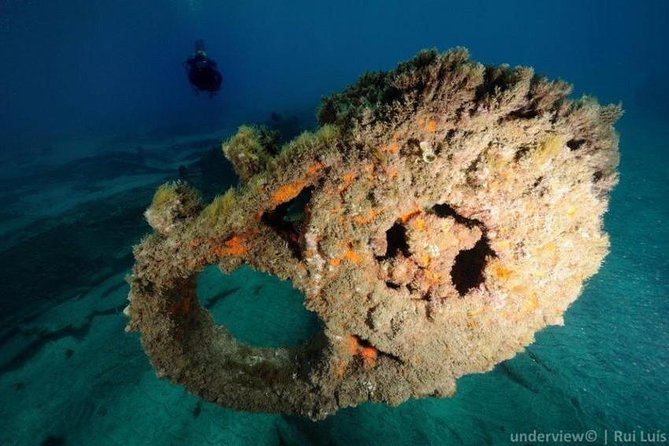 Double dive in the Algarve. Don't stop on the beach! - Diving Equipment and Safety Measures