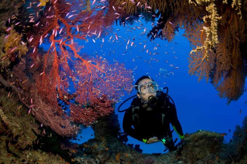 Double dive - The Maddalena Archipelago: A Top Destination for Underwater Exploration