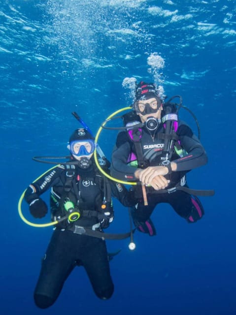Double Dive the Azores, in the middle of the Atlantic Ocean - Key Points