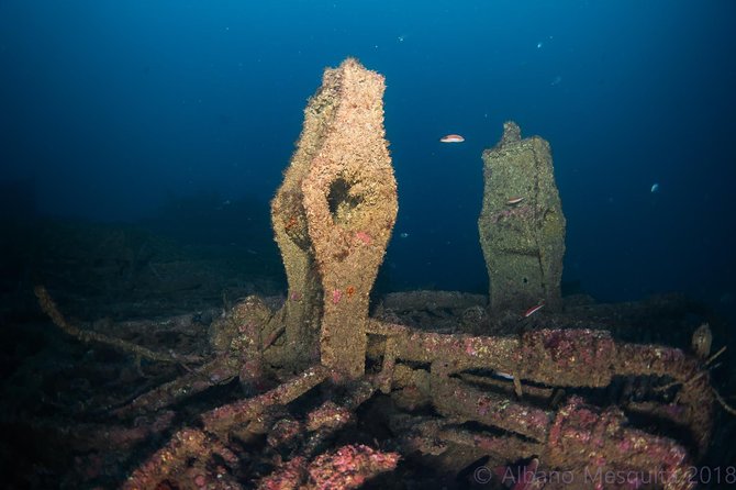 Double Dive the Fantastic Ocean Revival Park - Explore the Ocean Revival Park Wrecks in Lagos, Portugal