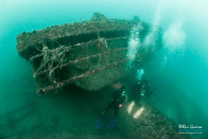 Double Dive the Fantastic Ocean Revival Park - Key Points