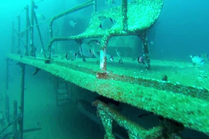 Double Dive the Fantastic Ocean Revival Park - What You Can Expect During the Double Dives