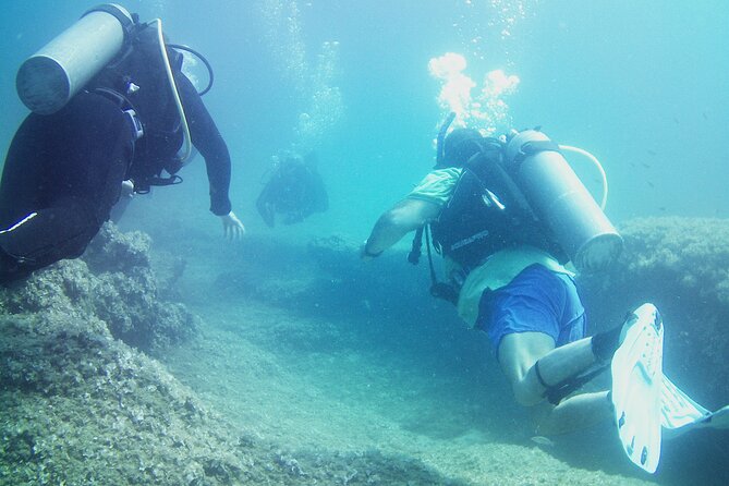 Double Shore Dive (certified divers) - Who Should Consider This Tour