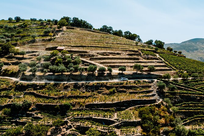 Douro Adventure - Tour 4x4 | Full Day Private Tour | All Included - Viewing the Douro Valley from the Best Vantage Points
