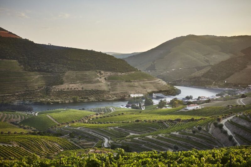 Douro and Port tasting Quinta do Bomfim - Key Points