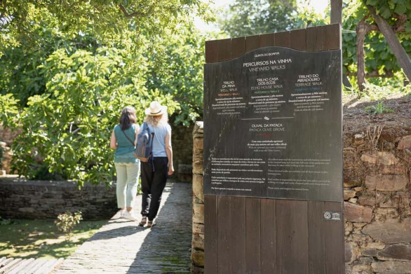 Douro and Port tasting Quinta do Bomfim - Logistics: Meeting Point and Accessibility