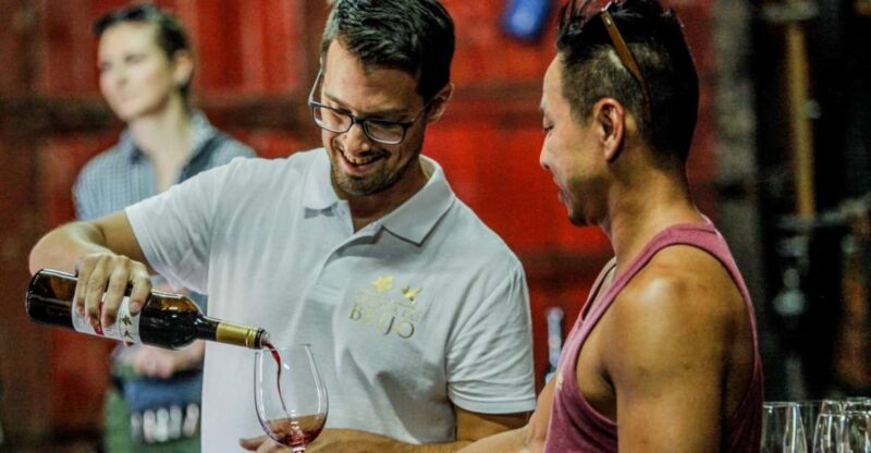 Douro: Classic Wine Tasting with Guided Tour - Inside the Centuries-Old Cellars