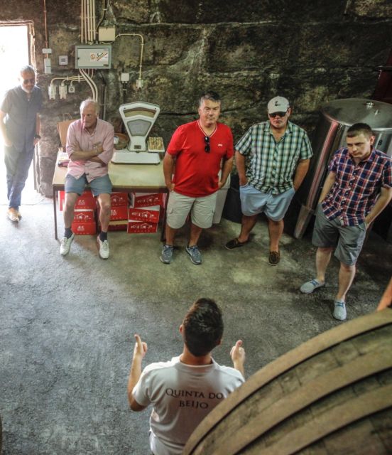 Douro: Classic Wine Tasting with Guided Tour - Tasting the Iconic DOC Douro Wines