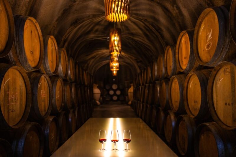 Douro Luxury - Private Cruise Premium Winery and Restaurant - Flexible Itinerary with External Factors in Mind
