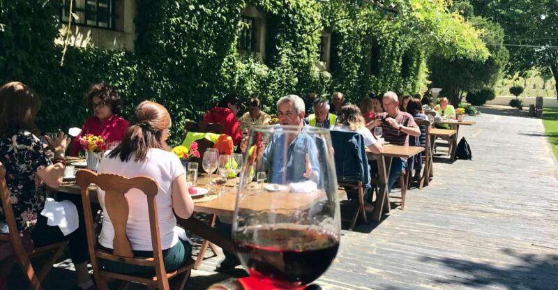 Douro: luxury tour with lunch at Quinta da Pacheca - The Sum Up: A Refined Day in the Douro Valley