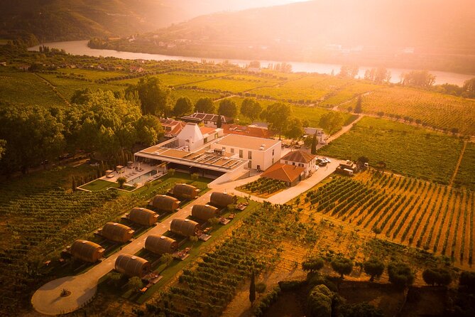 Douro: luxury walking tour with full lunch at Quinta da Pacheca - Logistics and Practical Details