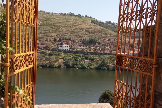 Douro: luxury walking tour with full lunch at Quinta da Pacheca - Personal Touches and Guide Expertise